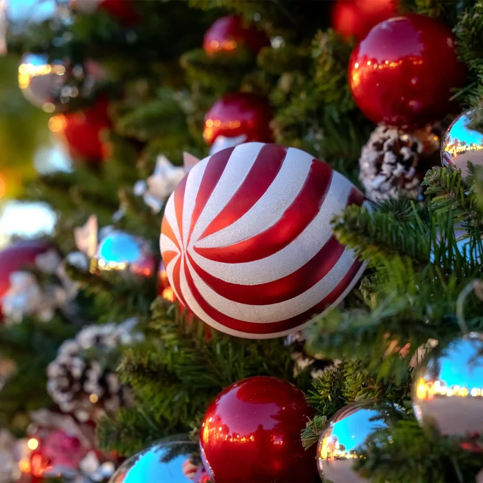 A close-up of a decorated Christmas tree with a large red and white striped candy cane ornament in the foreground, surrounded by shiny red, silver, and blue baubles, pinecones, and green branches.