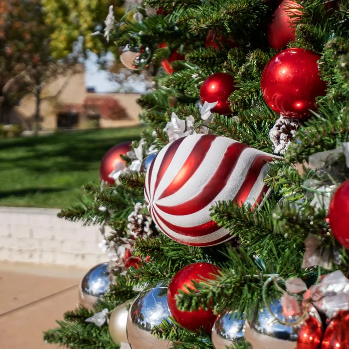 A close-up of a decorated Christmas tree with red and white striped ornaments, shiny red and silver baubles, and green pine branches in front of an outdoor yard background.