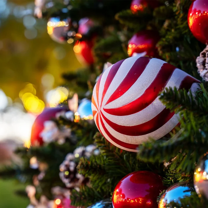 A close-up of a Christmas tree decorated with red and white striped candy-cane ornaments, shiny red baubles, and soft holiday lights in a warm outdoor setting.