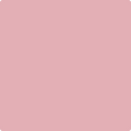 Benjamin Moore's 2005-50 Pink Eraser Paint Color
