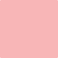 Benjamin Moore's 2009-50 Fashion Pink Paint Color
