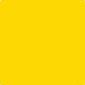 Benjamin Moore's 2022-20 Sun Kissed Yellow Paint Color