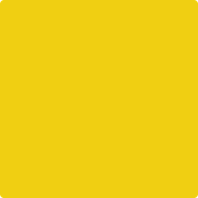 Benjamin Moore's 2023-20 Baby Chick Paint Color