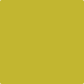 Benjamin Moore's 2024-10 Chartreuse Paint Color