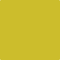 Benjamin Moore's 2024-20 Evergreen Paint Color