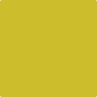 Benjamin Moore's 2024-20 Evergreen Paint Color