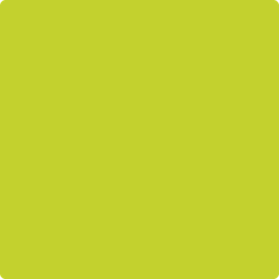 Benjamin Moore's 2025-20 Yew Green Paint Color