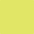 Benjamin Moore's 2025-40 Limelight Paint Color