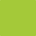 Benjamin Moore's 2026-20 Margarita Paint Color