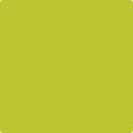 Benjamin Moore's 2027-30 Electric Lime Paint Color