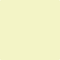 Benjamin Moore's 2027-60 Light Daffodil Paint Color