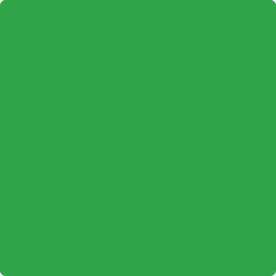 Benjamin Moore's 2030-10 Lizard Green Paint Color
