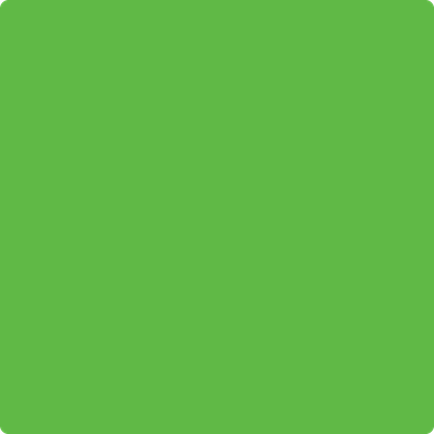 Benjamin Moore's 2030-30 Lucky Charm Green Paint Color
