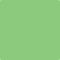 Benjamin Moore's 2032-40 Citrus Green Paint Color