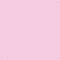 Benjamin Moore's 2076-60 Dog's Ear Paint Color