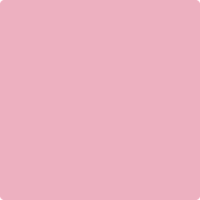 Benjamin Moore's 2084-50 Rosy Glow Paint Color