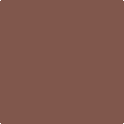 Benjamin Moore's 2101-30 Warm Brownie Paint Color