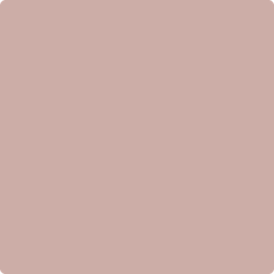 Benjamin Moore's 2102-50 Rose Bisque Paint Color