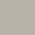 Benjamin Moore's 2108-50 Silver Fox Paint Color