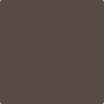 Benjamin Moore's 2112-20 Brown Sugar Paint Color