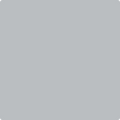 Benjamin Moore's 2124-40 Thundercloud Gray Paint Color