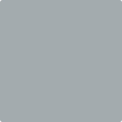 Benjamin Moore's 2125-40 Shadow Gray Paint Color