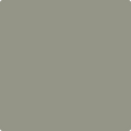 Benjamin Moore's 2140-40 Storm Cloud Gray Paint Color