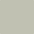 Benjamin Moore's 2141-50 Horizon Gray Paint Color