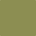Benjamin Moore's 2145-20 Terrapin Green Paint Color