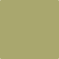 Benjamin Moore's 2145-30 Brookside Moss Paint Color