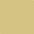 Benjamin Moore's 2150-40 Spring Dust Paint Color