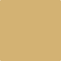 Benjamin Moore's 2153-40 Cork Paint Color