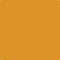 Benjamin Moore's 2155-20 Gold Mine Paint Color