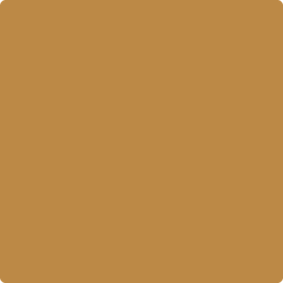 Benjamin Moore's 2160-20 Tumeric Paint Color