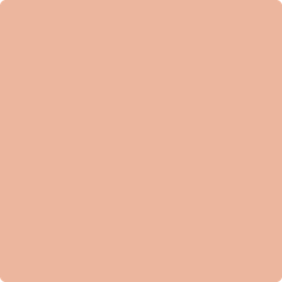 Benjamin Moore's 2175-50 Peach Blossom Paint Color