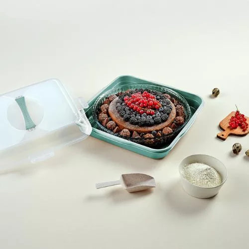 Dunya container BPA-free plastic dimensions specs
