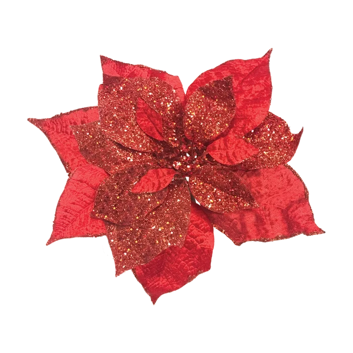 Red glittery poinsettia flower on a white background