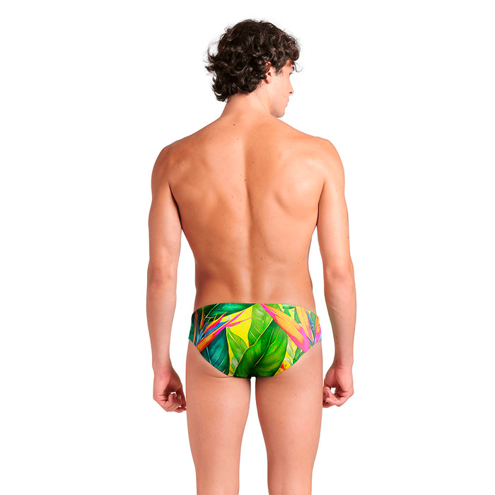 Arena Birds Of Paradise Brief