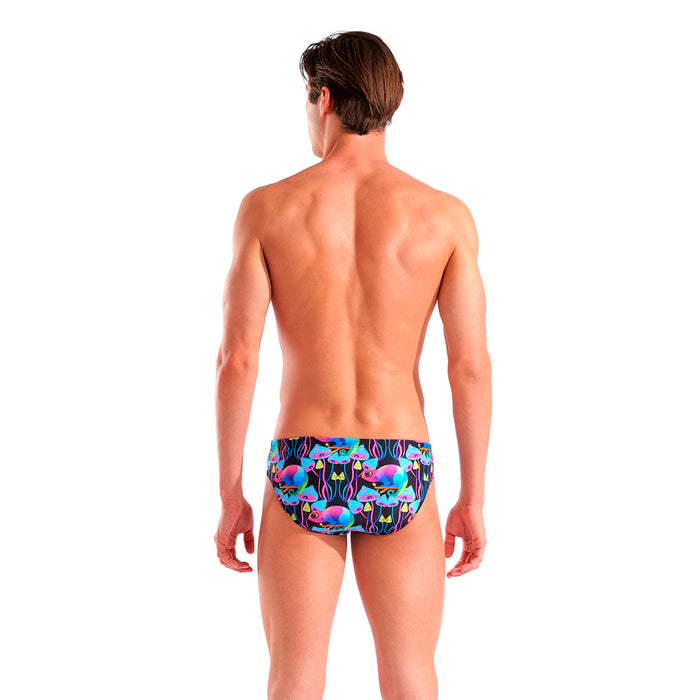 Arena Chameleons Brief