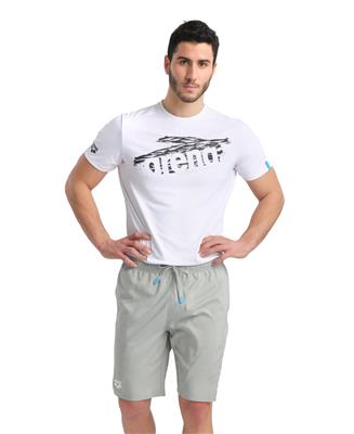 Arena Icons Team Stripe Bermuda Shorts grey