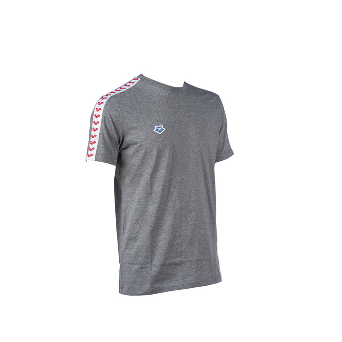 Arena Men's Team T-Shirt grey