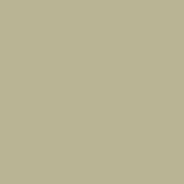 Ball Green Farrow & Ball, available at Ricciardi Brothers in NJ, Pa, and DE.