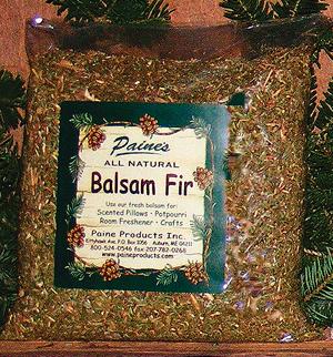 Balsam Fir