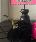 Black Velvet Pumpkin