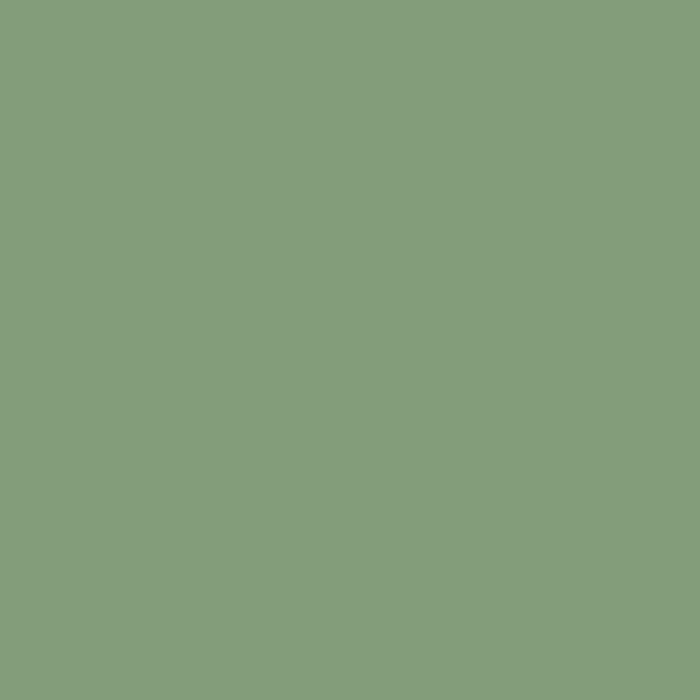 Breakfast Room Green Farrow & Ball, available at Ricciardi Brothers in NJ, Pa, and DE.