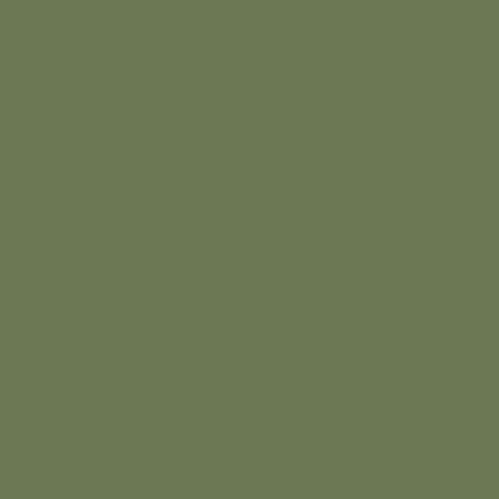 Calke Green Farrow & Ball, available at Ricciardi Brothers in NJ, Pa, and DE.