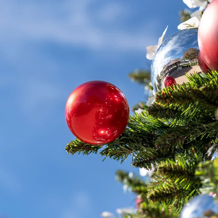 A glossy red Christmas ornament hanging from the branch of a decorated evergreen tree against a bright blue sky.