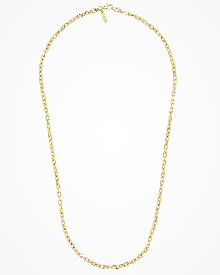 Collana in argento Forzata