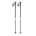 Dancer Poles - Ski Poles