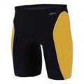 Dolfin Team Panel Jammer gold
